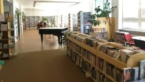 DE LA SÉLECTION À LA MÉDIATION, PETIT PANORAMA DE LA MUSIQUE EN MÉDIATHÈQUE AUJOURD’HUI