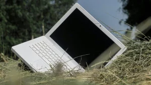 Le Numérique Durable en Bibliothèque : Pratiques Responsables et Stratégies Durables