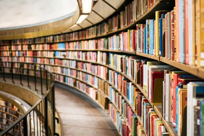 Transition écologique des bibliothèques : Quels enjeux pour l’avenir du livre ?